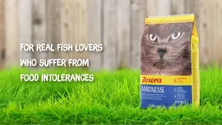 Josera Marinesse - For real fish lovers who suffer from feed intolerances