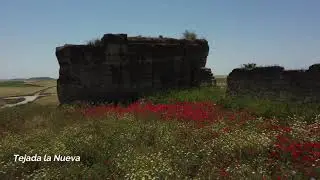 Paterna del Campo