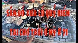 SĂN ĐỒ XƯA CỔ QUÝ HIẾM TẠI CHỢ TRỜI Ở CALIFORNIA MỸ. ĐỜI SỐNG MỸ. MỸ VIỆT VIDEO. MYVIETVIDEO