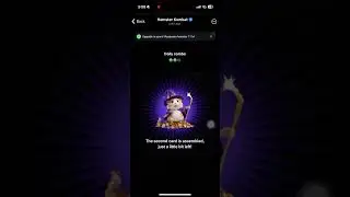 Hamster Combo Card 10.08.24 #hamsterkombat #cardcombos #toncoin #nft #crypto #binance #notcoin #btc