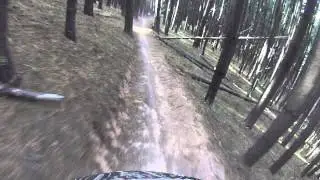 Kuitpo Downhill 2013 