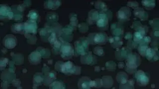 8 hour bubbles background✨office hours dark theme✨silent visual ambience for studying & life things