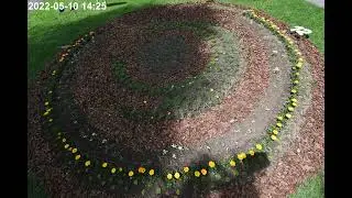 Florologium Project - Botanical Garden Bern