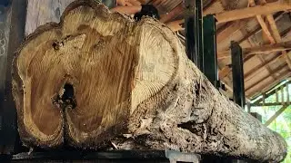 The perfect beauty of teak wood is made into an amazing work