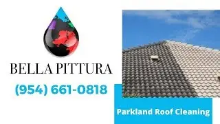 Parkland Roof Cleaning  (954) 661-0818 - Bella Pittura | Is Roof Cleaning Worth It?
