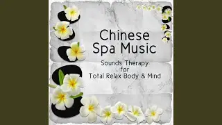 Beautiful Spa Music