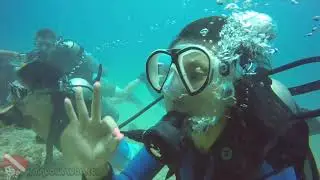 Hawaii Scuba - vlog 019