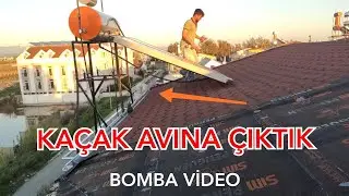 MEHMET HOCAYLA KAÇAK GÜVERCİN PEŞİNE DÜŞTÜK.DUSUYORDUM DAMDAN AZ KALSIN