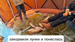 САЗАН, СУДАК, КАРАСЬ,  ВЕРХОГЛЯД ПОЛНЫЙ МЕШОК. Рыбалка на хапугу в палатке.##рыбалка #낚시 #fishing 