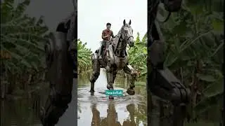 A Giant Robot Horse Walking Through Flooded Banana Farms #unfrezzmyaccount