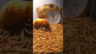 Worms and caterpillars eat apples. TIMELAPSE WONDERS #timelapse #shorts #worms #egg #apple