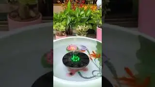 Damn Unique #Unique #Lovely #Beautiful #Pretty #Awesome #LifeVlogs #Water #Gadgets #Wow #op #Tryit
