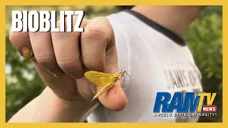 What is BioBlitz? | News Package