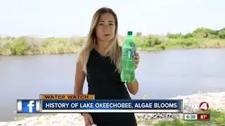 History of Lake Okeechobee, algae blooms (Part 1)