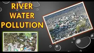River pollution | fishery science