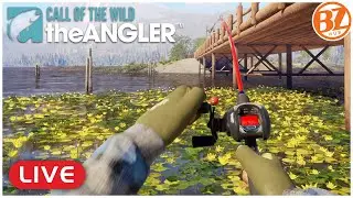 LET'S GET FISHING! l Call of the Wild: The Angler (LIVE)