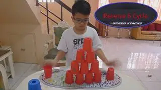 Sport Stacking: Experience The Thrill of Freestyle Stacking (3 months of practice) (2018)