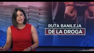 Aplazan coerci&oacute;n a implicados en red de pirater&iacute;a digital | Noticias SIN #Emisi&oacute;nEstelar: 19/09/2025