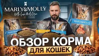 Корм Marly&Molly для кошек 2024: разбор состава, плюсы и минусы + дегустация