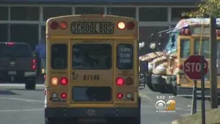 School Bus Driver Fired