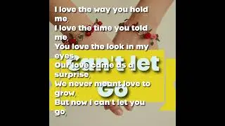 Can't Let Go