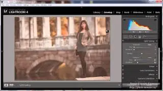 Уроки Lightroom 4 Модное тонирование фотографии