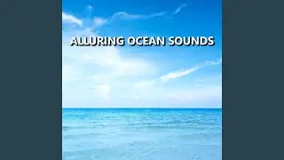 Captivating Hawaiian Ocean Waves