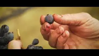 Docu promocional de restorante POXO CASA DE COMIDAS