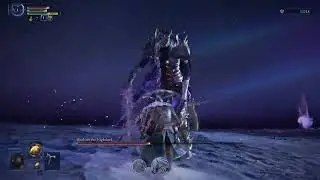 Heolstor the Nightlord - Level 1 Bare Fist only, Deathless