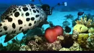 Underwater on Atari STE