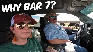 Why Do We Call It Bar 7 Ranch?