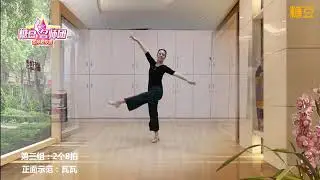 形體舞 -- 老父親 (含教学)