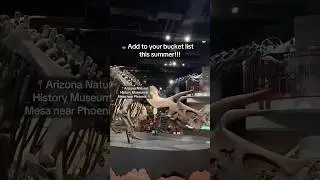 THIS MUSEUM IN AZ FLOODS?! ⚡️