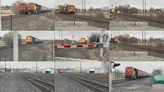 BNSF TRAFFIC, AND ACTIVE SIGNALS 