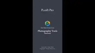 15. Photography Tools - Panorama (2022)