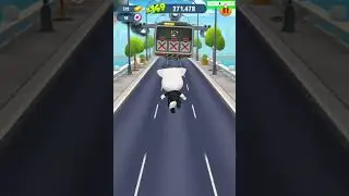 boss fight ||  raccoon roy || Tom gold run