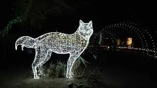 Get Ready for WildLights 2025!