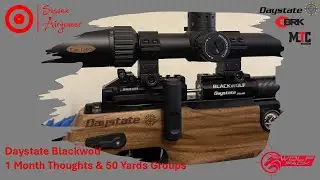 Daystate Blackwolf - 1 Month Thoughts & 50 Yards Groups