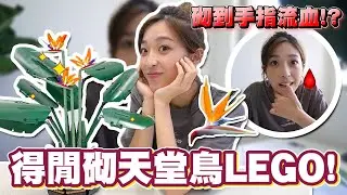 思男樂高館 | 第一條Lego開箱片（借啲意開新系列）原來天堂鳥咁靚？