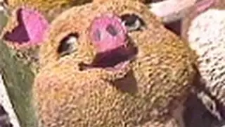 WGN Channel 9 - 1981 Tournament of Roses Parade (Promo, 1981)