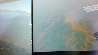 video de bloom de microalga
