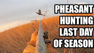 PHEASANT HUNTING LAST DAY OF SEASON | CATCH & COOK - PHEASANT BBQ CUPS
