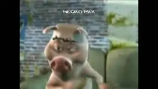 CERDITO BAILANDO DON DVD PIRATA NEGRO MIX