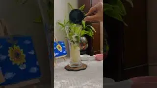 1 min Litchi Mojito ||Summer drinks