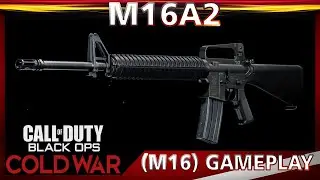 Black Ops Cold War M16A2 (M16) Gameplay