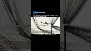 Avian-Inspired Robot Claws Let UAVs Fly, Perch & Walk | Drone Innovation #drone #robot #shorts