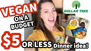DOLLAR TREE MEAL IDEA NO RICE, NO PASTA | Extreme Budget Dinner Idea | Vegan On A Budget 🌱