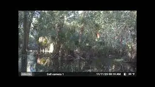 Trail Camera Footage Of a Cold Front