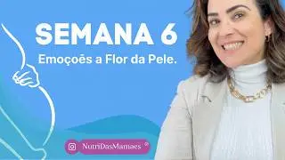 6º SEMANA DE GESTAÇÃO — Emoções à flor da pele