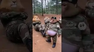 Monkey Mimi's Military Training Camp😂 #babyaibi #MonkeyMimi #babytalk #kittykibi #monkeyvideo #fyp